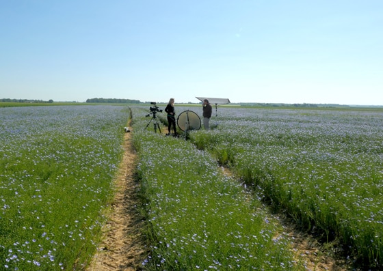 L'équipe de Food Transition