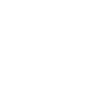 Traveler choice 2025