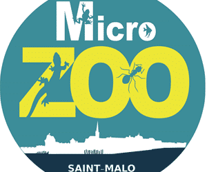 Pass Micro Zoo