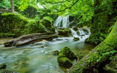 couleur de l'eau de source