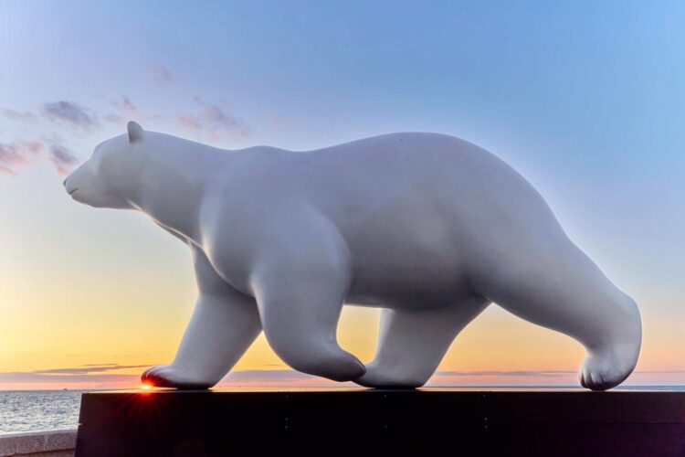 Lire la suite à propos de l’article Un ours polaire sur la terrasse des Thermes Marins de Saint-Malo