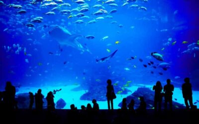 Pass Grand Aquarium