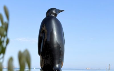Ma Thalasso, c'est Saint-Malo ! 26 manchot bassompierre 2026