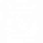 2020-Travellers-Choice-logo
