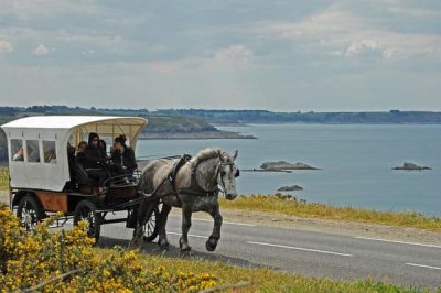 Les chevaux de la mer